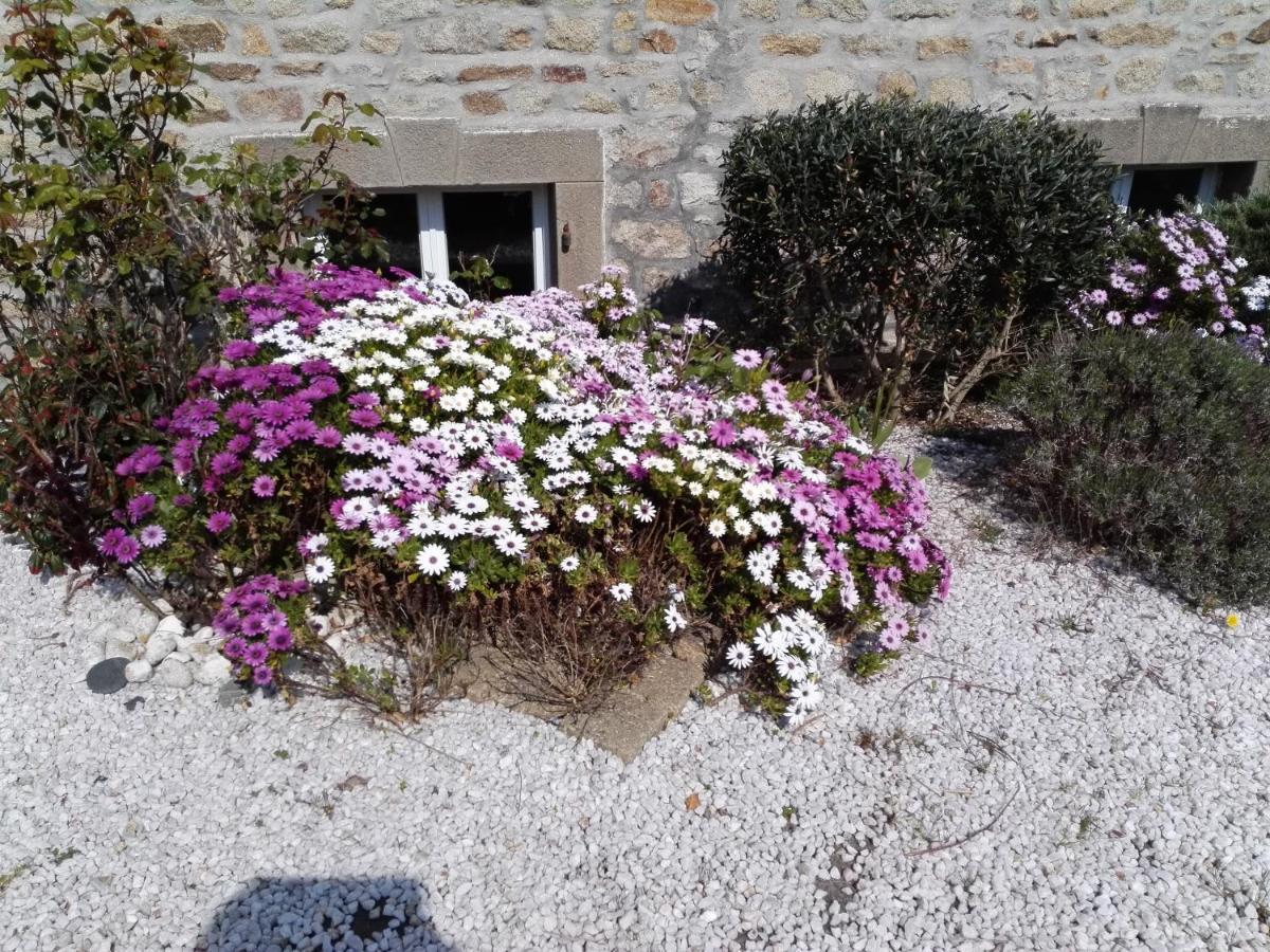 Izella Bed & Breakfast Douarnenez Eksteriør bilde