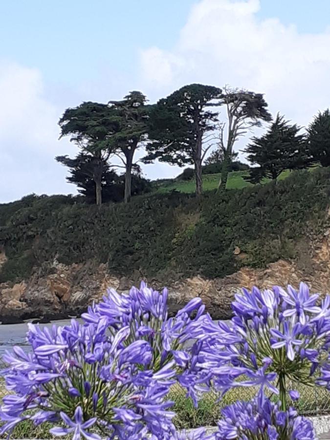 Izella Bed & Breakfast Douarnenez Eksteriør bilde